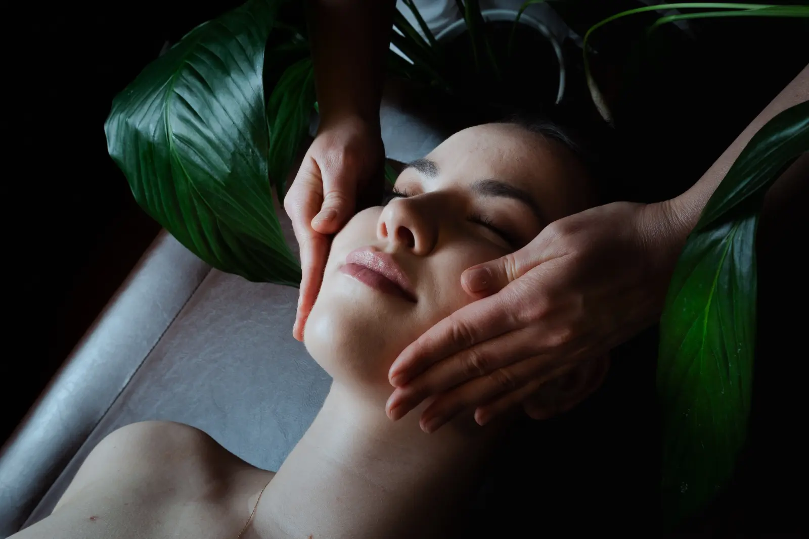 Aubrecht SPA 49 1